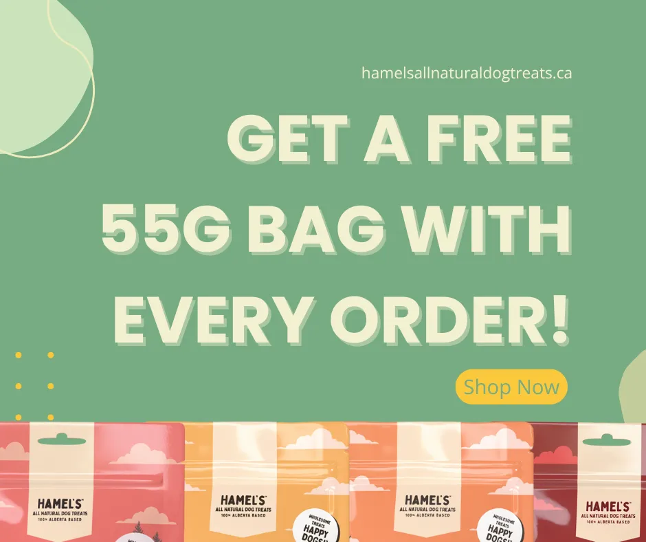 Purchase 3+ bags and get free shipping!